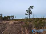 415 ACRES Tom Cat Road - Photo 3
