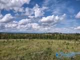 415 ACRES Tom Cat Road - Photo 4