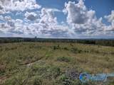 415 ACRES Tom Cat Road - Photo 5