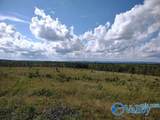415 ACRES Tom Cat Road - Photo 6