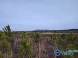 415 ACRES Tom Cat Road - Photo 7