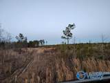 415 ACRES Tom Cat Road - Photo 8