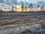 415 ACRES Tom Cat Road - Photo 9