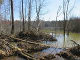 1876 County Road 684 - Photo 11