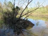 1876 County Road 684 - Photo 15
