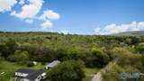 77 Acres Carters Gin Road - Photo 2