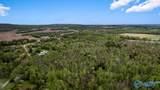 77 Acres Carters Gin Road - Photo 6