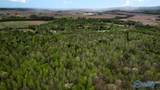77 Acres Carters Gin Road - Photo 8