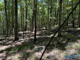 40 Acres Berry Road - Photo 11