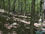 40 Acres Berry Road - Photo 8