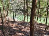 101 & 102 Sipsey Overlook Road - Photo 16