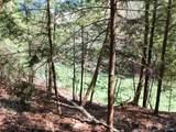 101 & 102 Sipsey Overlook Road - Photo 17