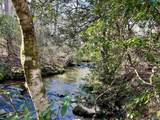 307 Bear Creek Road - Photo 12