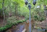 307 Bear Creek Road - Photo 13