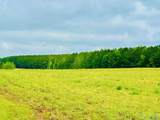 20 Acres Highway 72 - Photo 13