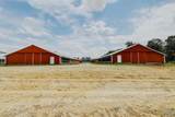 4695 County Road 284 - Photo 14