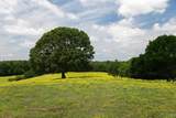 120.5 Acres County Road 974 - Photo 16