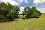 120.5 Acres County Road 974 - Photo 21