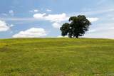 120.5 Acres County Road 974 - Photo 23