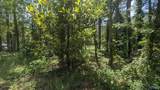 1016 Woodland Street - Photo 8