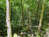 87 ac Martin Avenue - Photo 12