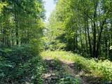 87 ac Martin Avenue - Photo 24