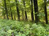 87 ac Martin Avenue - Photo 32