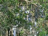 20 Acres #1 Lee Road - Photo 16