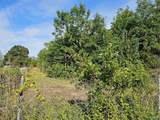 20 Acres #2 Lee Road - Photo 12