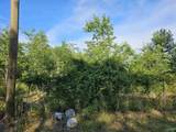 20 Acres #2 Lee Road - Photo 13