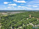 59 acre Green Cove Road - Photo 10