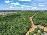 59 acre Green Cove Road - Photo 11