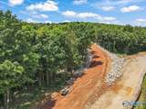 59 acre Green Cove Road - Photo 17