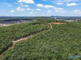 59 acre Green Cove Road - Photo 2