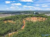 59 acre Green Cove Road - Photo 3
