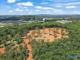 59 acre Green Cove Road - Photo 4
