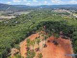 59 acre Green Cove Road - Photo 5