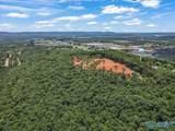 59 acre Green Cove Road - Photo 7