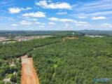 59 acre Green Cove Road - Photo 9