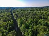 30 acres County Road 261 - Photo 14