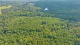 30 acres County Road 261 - Photo 18