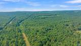 30 acres County Road 261 - Photo 22