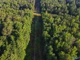 30 acres County Road 261 - Photo 5