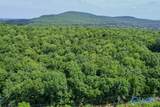 20 Acres Juniper Drive - Photo 10