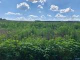 6 County Road 508 - Photo 2