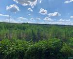 6 County Road 508 - Photo 3