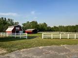8348 Gallant Road - Photo 48