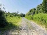 200 ac County Road 81 - Photo 3