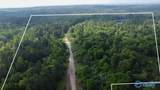 200 ac County Road 81 - Photo 37