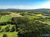 27.58 Acres Highway 431 - Photo 12